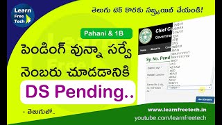 Survey Numbers Pending for Clearance  DS Pending Pattadar Details In CCLA Records Telangana Pahani [upl. by Radie]