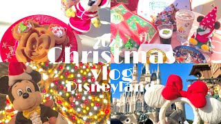 待ちに待ったクリスマスのディズニーランド🎄✨朝から夜まで楽しんだ日のvlog【disneyvlog】2023 [upl. by Sylvia181]