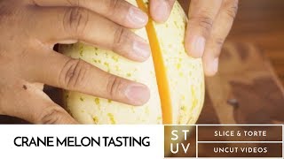 Crane Melon Tasting  Slice amp Torte Uncut Videos [upl. by Enywtna]