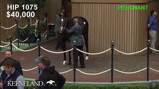 Keeneland Live Feed [upl. by Eiliak100]