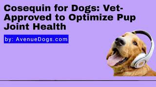 Cosequin for Dogs VetApproved to Optimize Pup Joint Health [upl. by Cilurzo]