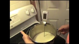 How to make Lactose Free Ricotta Cheese [upl. by Jania872]