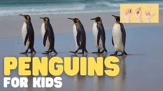 ASL Penguins for Kids [upl. by Nika511]