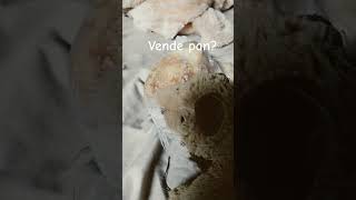 Vende pan [upl. by Lunn]