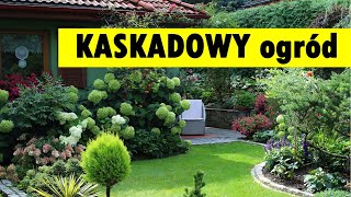 Kaskadowe KRĂ“LESTWO hortensji zlokalizowane na tle lasu [upl. by Lucias582]