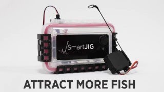 SmartJig Automatic Jigging System [upl. by Aisinut]