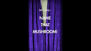 Name That Mushroom [upl. by Hamford]