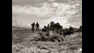 Dorothea Lange Great Collection  HQ photos [upl. by Isbel]