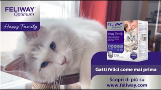 Feliway Optimum  La storia di Risotto [upl. by Ioj516]