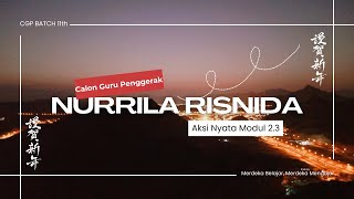 Tugas Aksi Nyata Modul 23  Nurrila Risnida [upl. by Aivatnwahs866]