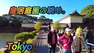 4K Imperial Palace Garden inside  outside Walk Tokyo Japan November 2024 [upl. by Cyrilla]