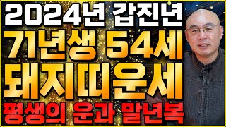 1971년생 54세 돼지띠운세  2024년 갑진년운세  말년에 금전재물 무조건 찾아오는 기회 71년생 돼지띠의 운명과 평생의 운세  갑진년 대박나는 54세 돼지띠운세 [upl. by Gerhan823]