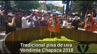 Pisa de uva en El Valle de la Concepción vendimia Chapaca 2018 [upl. by Aiek142]