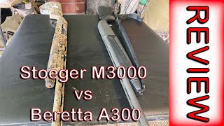 Beretta A300 VS Stoeger M3000  Waterfowl Shotgun Review [upl. by Tammi]