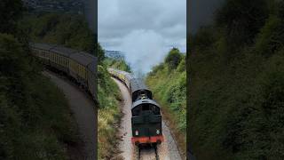 Steam locomotive hard at work [upl. by Sevik]