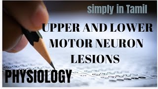 Upper and lower motor neuron lesions  Detailed explanation in Tamil [upl. by Carlee]