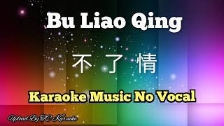 Bu Liao Qing 不了情 karaoke no vocal [upl. by Ateerys698]