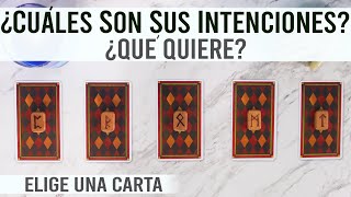 ¿QUÉ QUIERE ¿Tiene buenas INTENCIONES  Tarot interactivo [upl. by Armelda357]