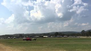 Clinton National Chuckwagon Races 2015 wagon Down [upl. by Leinnad844]