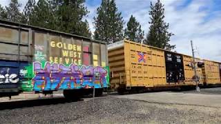 Colfax  Carpenter Road  Union Pacific Amtrak BNSF Action [upl. by Htebasil]