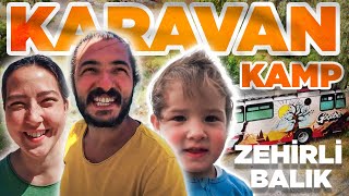 KARAVAN KAMPINDA EN ZEHİRLİ BALIKLARDAN BİRİNİ YEDİK ASLAN BALIĞI [upl. by Portia]