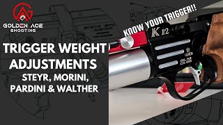 AIR PISTOL TRIGGER WEIGHT ADJUSTMENTS  Know your trigger  Golden Ace Shooting  Santhosh BN [upl. by Denna802]