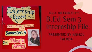 How to prepare Internship Report File in Bed Sem 3  Presented by anmoltalreja3995 [upl. by Honora541]