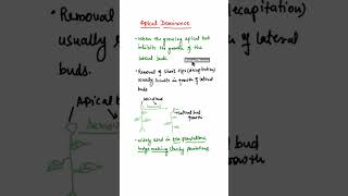 Apical Dominance in plants shorts apicaldominanceinplants [upl. by Fernande]