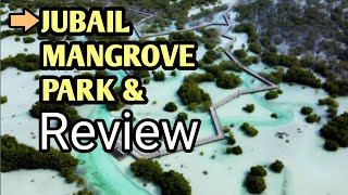 Jubail mangrove park and Review 2024 [upl. by Nalat]