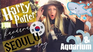 VLOG  kavárna Harry Potter v Koreji Aquarium a studentský bar [upl. by Jamnis]