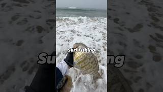 Monster surfperch caught with Lucky Craft lure surfperch [upl. by Yerbua]