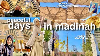 DAYS IN MY LIFE IN MADINAH 🌻🕌💫 umrah diaries masjid nabawi amp quba raudhah jabal uhud kebun kurma [upl. by Inessa]