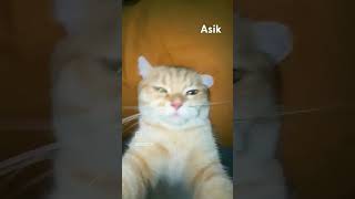 Trend viral funny viralvideo subscribe [upl. by Ysnil738]