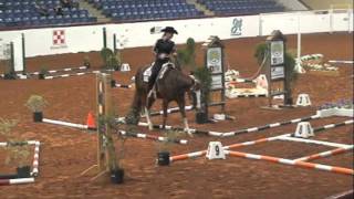 Trail and Western Riding Pines Royalty APHA World Show 2011 [upl. by Eedak77]