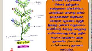 CODICIL IN TAMIL FAMILY LAW 2 INDIAN SUCCESSION ACT 1925 [upl. by Nishom]