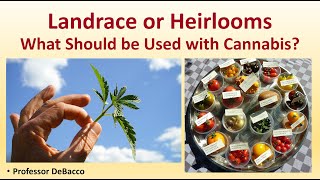 Landrace or Heirlooms What Should be Used with Cannabis [upl. by Stewart]