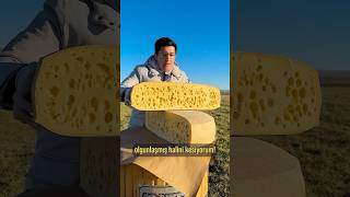 60 kglık Gravyer Peynirini Kestik 🧀 Peynere Karstan peynirinizi gönderir [upl. by Ariadne]