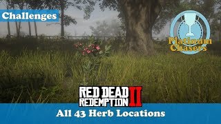 All 43 Herb Locations Herbalist Challenge 9  Red Dead Redemeption 2 [upl. by Colbye]