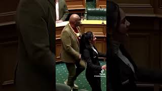 newzealand parliament haka protest united belief strong youtubeshorts youtuber youtube [upl. by Panther]