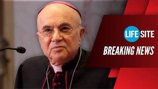 Servants of Satan’ Archbishop Viganò responds to Pope Francis ‘blessings’ for homosexual couples [upl. by Sunda]