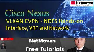 2 Nexus VXLAN EVPN NDFC Handson  Interface VRF and Network [upl. by Naashom]