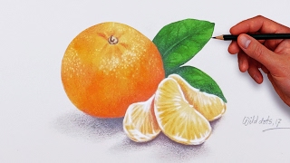 How To Draw An Orange  Easy And Simple Steps [upl. by Donahue]