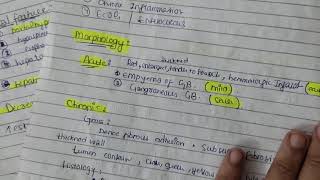 acute and chronic cholecystitis easy explanation pathology [upl. by Younglove]