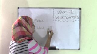 6th Grade Math What are Whole Numbers [upl. by Soilissav972]