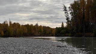 Final Supply Run to our Remote Talkeetna Cabin before the River Levels drop  Chimney Fire [upl. by Annaihr]