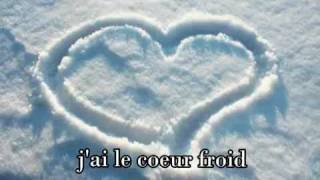 Celine Dion  Comme Un Coeur Froid Lyrics [upl. by Neelahtak126]