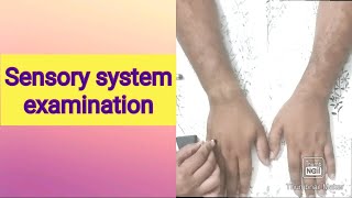 Sensory system examination [upl. by Zachariah]