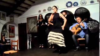 La bailaora Araceli Muñoz Mata triunfa en la Peña Flamenca El Lucero [upl. by Schnurr812]