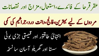 Akarkara ke fayde aur nuksan  Aqar Qarha Health Benefits And Side Effects Pellitory Root Uses urdu [upl. by Anamor656]