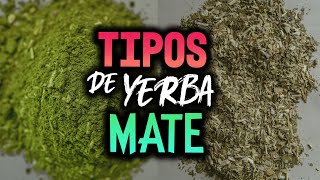 TIPOS DE YERBA MATE 🧉 [upl. by Ilatfan18]